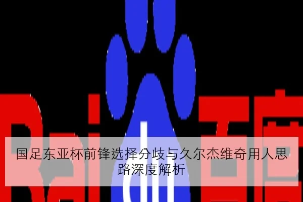 国足东亚杯前锋选择分歧与久尔杰维奇用人思路深度解析